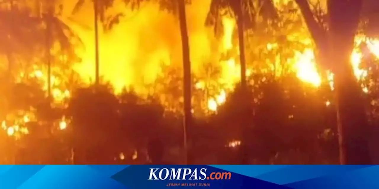 Hotel di Gili Trawangan Terbakar, Warga Berusaha Padamkan Api dengan Alat Seadanya