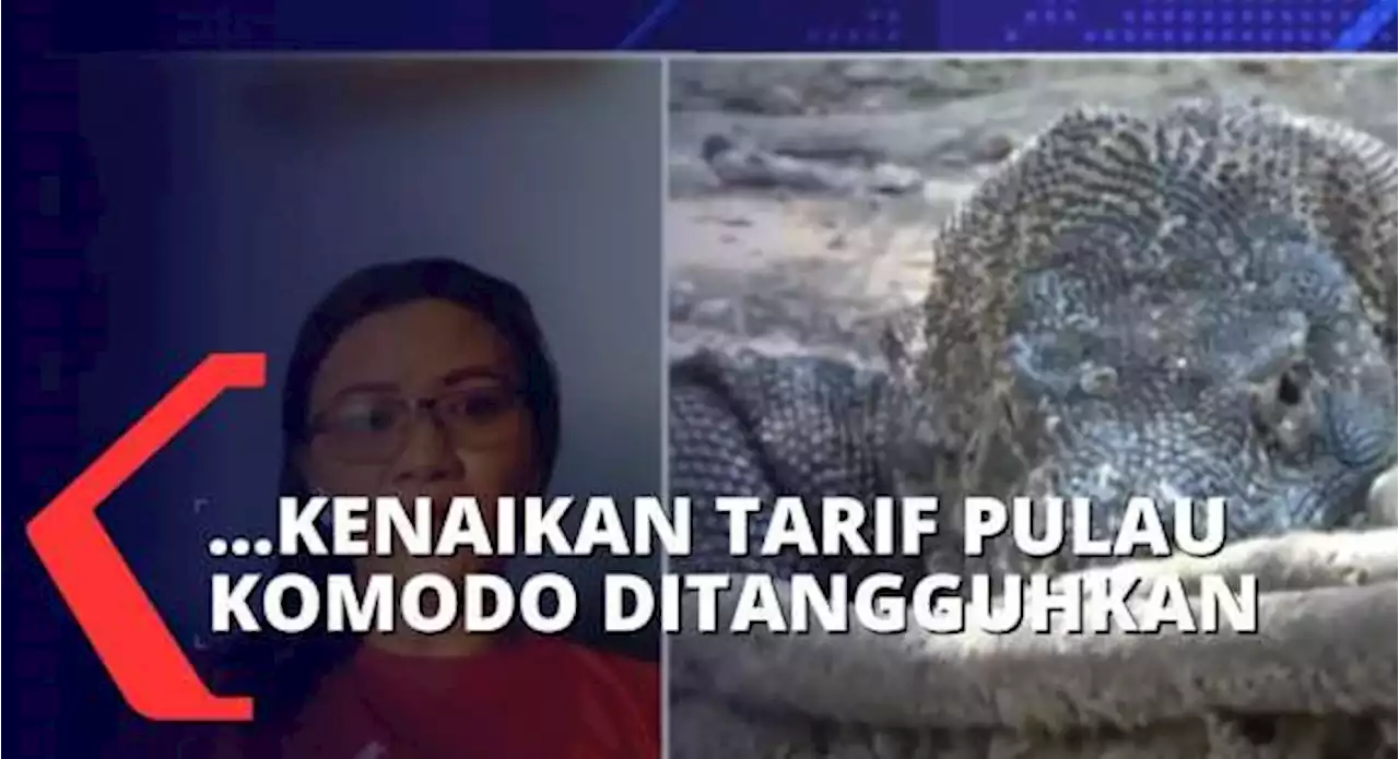 Usai Diskusi dengan Kepala Dinas Provinsi, Kenaikan Tarif Pulau Komodo Per 1 Agustus Ditangguhkan!