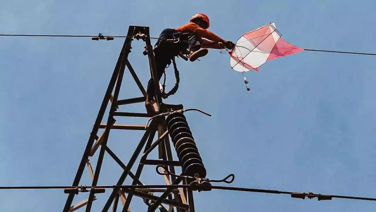 837 Layangan Nyangkut di Kabel Listrik, Wagub Jatim Berang