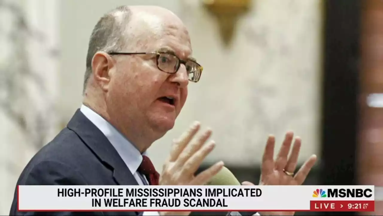 Mississippi Today reporter Anna Wolfe discusses welfare scandal on MSNBC's 'Morning Joe'