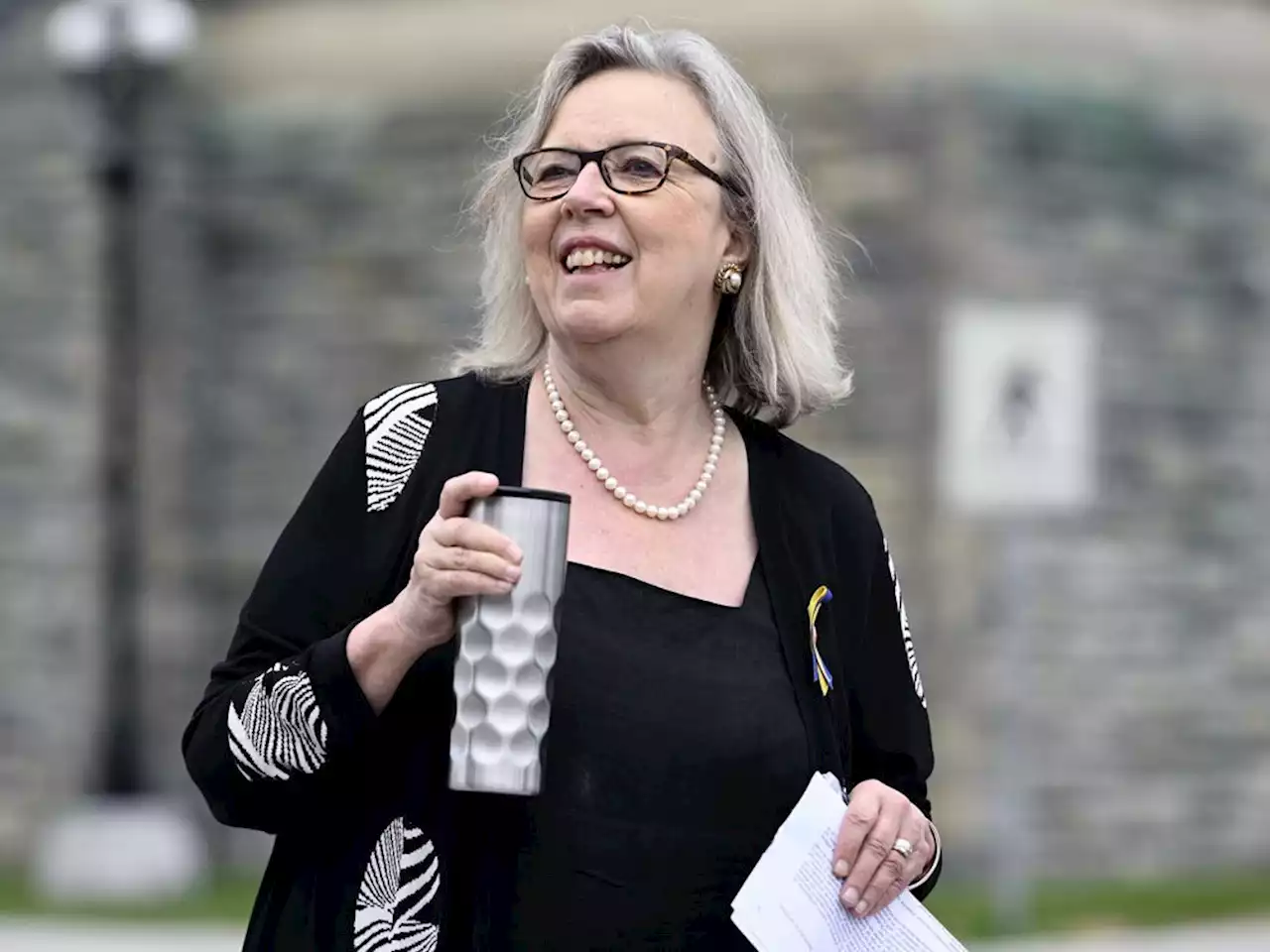 Elizabeth May prepares for Green leadership bid after asking party's other MP to consider running: sources