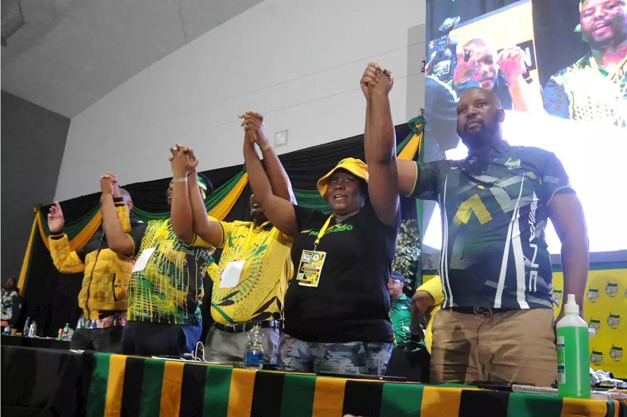 'ANC polices are not the Bible' - KZN determined to fight its battles at December conference | News24