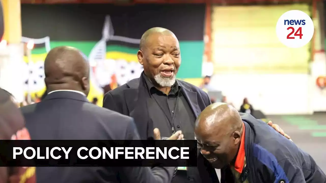 LIVE | ANC policy conference delegates brief media on developments so far | News24