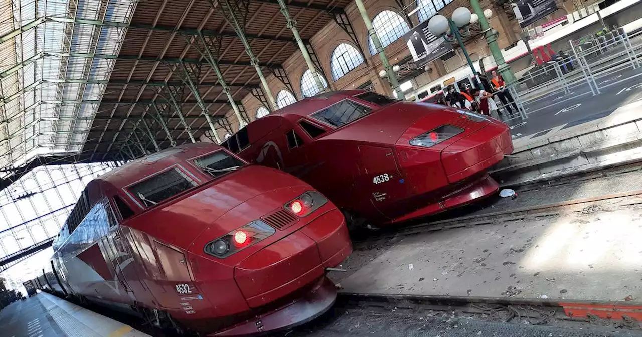 Zug-Chaos: Thalys kollidiert mit Tier – Tausende Reisende stranden in Belgien in Frankreich