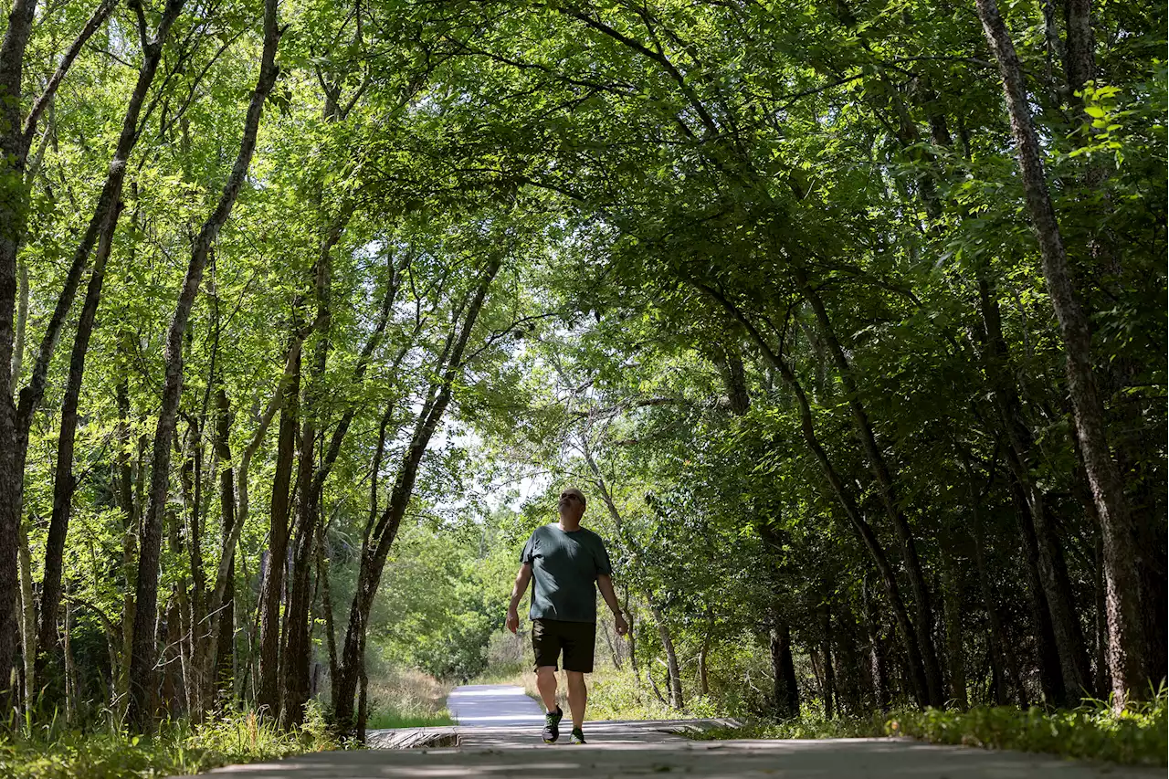 Where I Live: Live Oak