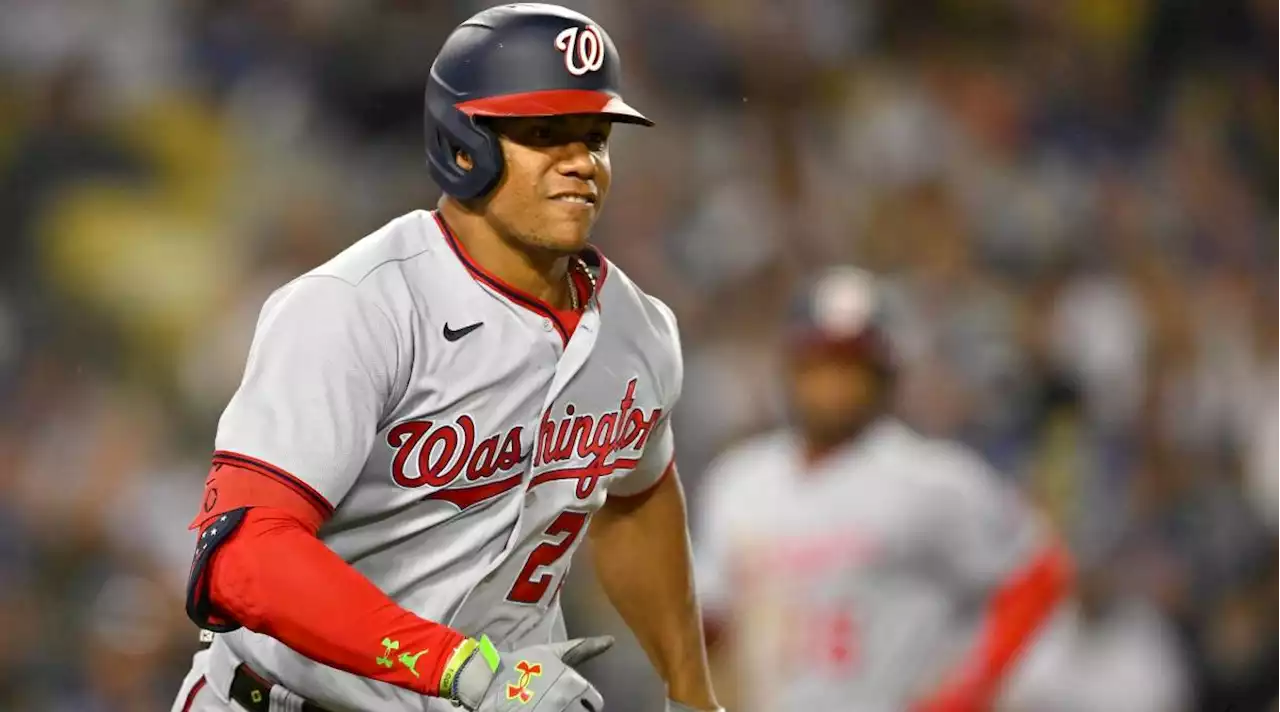 Report: Padres, Cardinals Currently Lead Juan Soto Sweepstakes