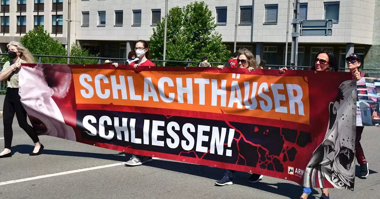 Tierschutzaktivisten: Demonstranten fordern in Saarbrücken das Ende der Schlachthäuser (mit Bildergalerie)