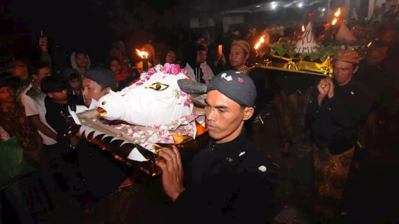 Tradisi Sedekah Kepala Kerbau Gunung Merapi Pada Malam 1 Suro