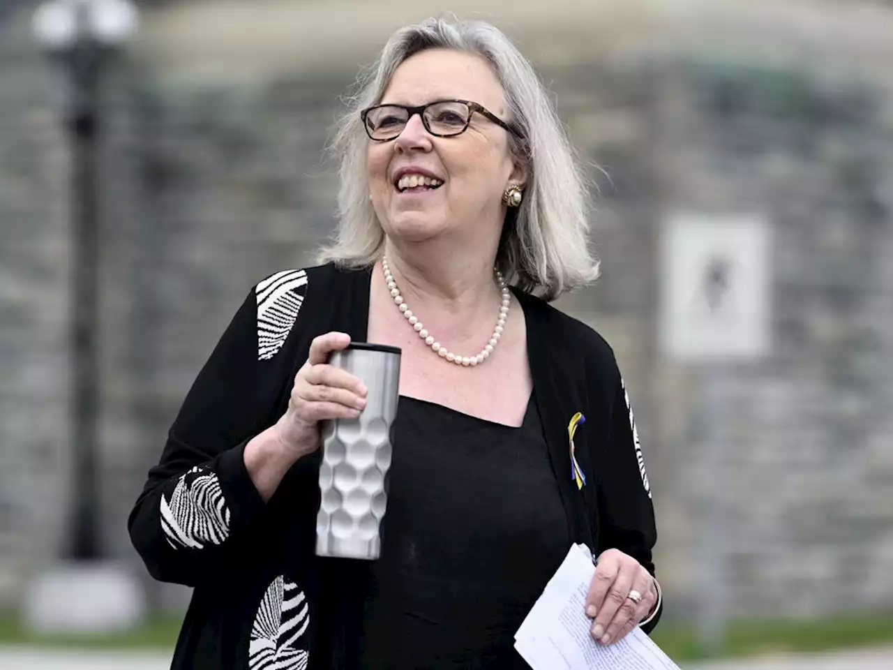 Elizabeth May readies Green leadership bid, asked MP Mike Morrice to consider running: Sources