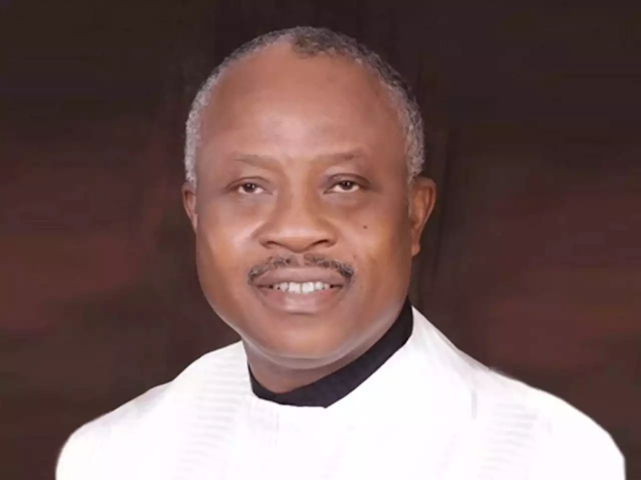 2023: Abia APC Chieftains, Stakeholders Commend Party for Choosing Emenike as Guber Candidate – THISDAYLIVE