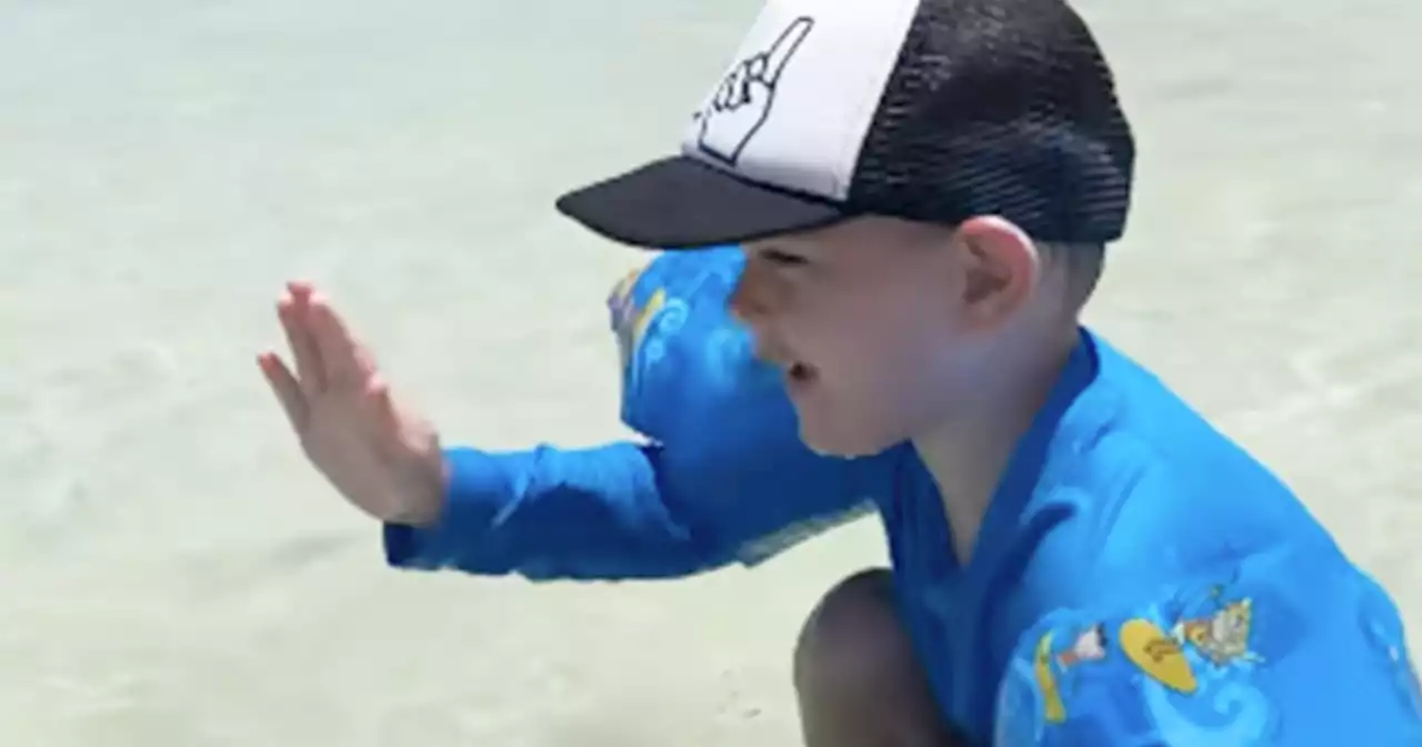 Adorable video captures little boy telling the ocean to chill in sign language