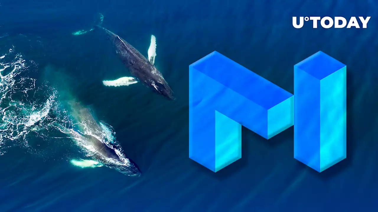 $2.5 Million in Top-Traded MATIC Token Acquired by These Two Whales