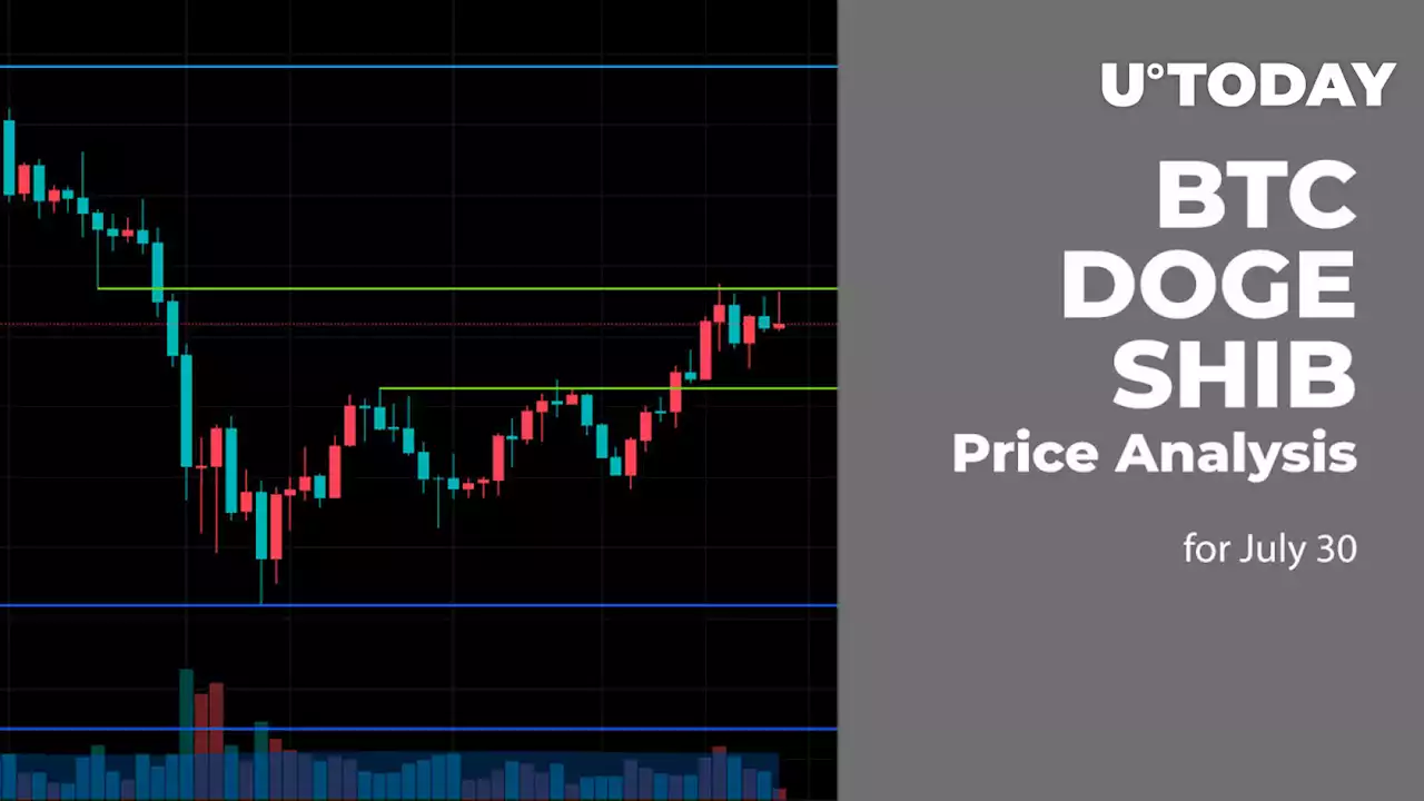 BTC, DOGE and SHIB Price Analysis for July 30