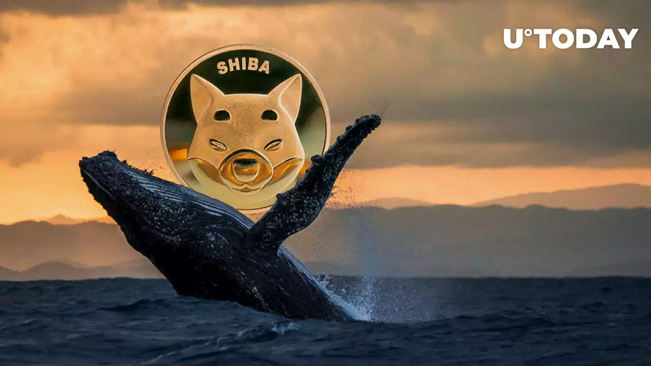 SHIB Beats MATIC, LINK, MANA as Number 1 Asset for Whales: Report