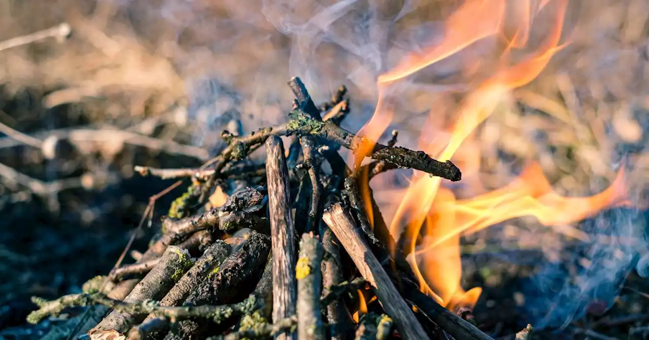 Knowing how to build a fire is an important skill — but Cheetos can help