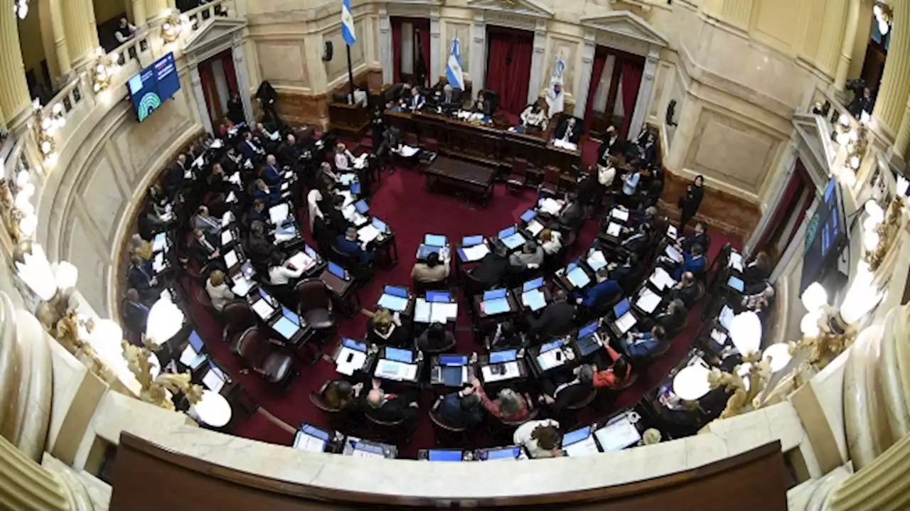 El Senado retoma la actividad parlamentaria con reuniones de comisiones y la visita de un ministro