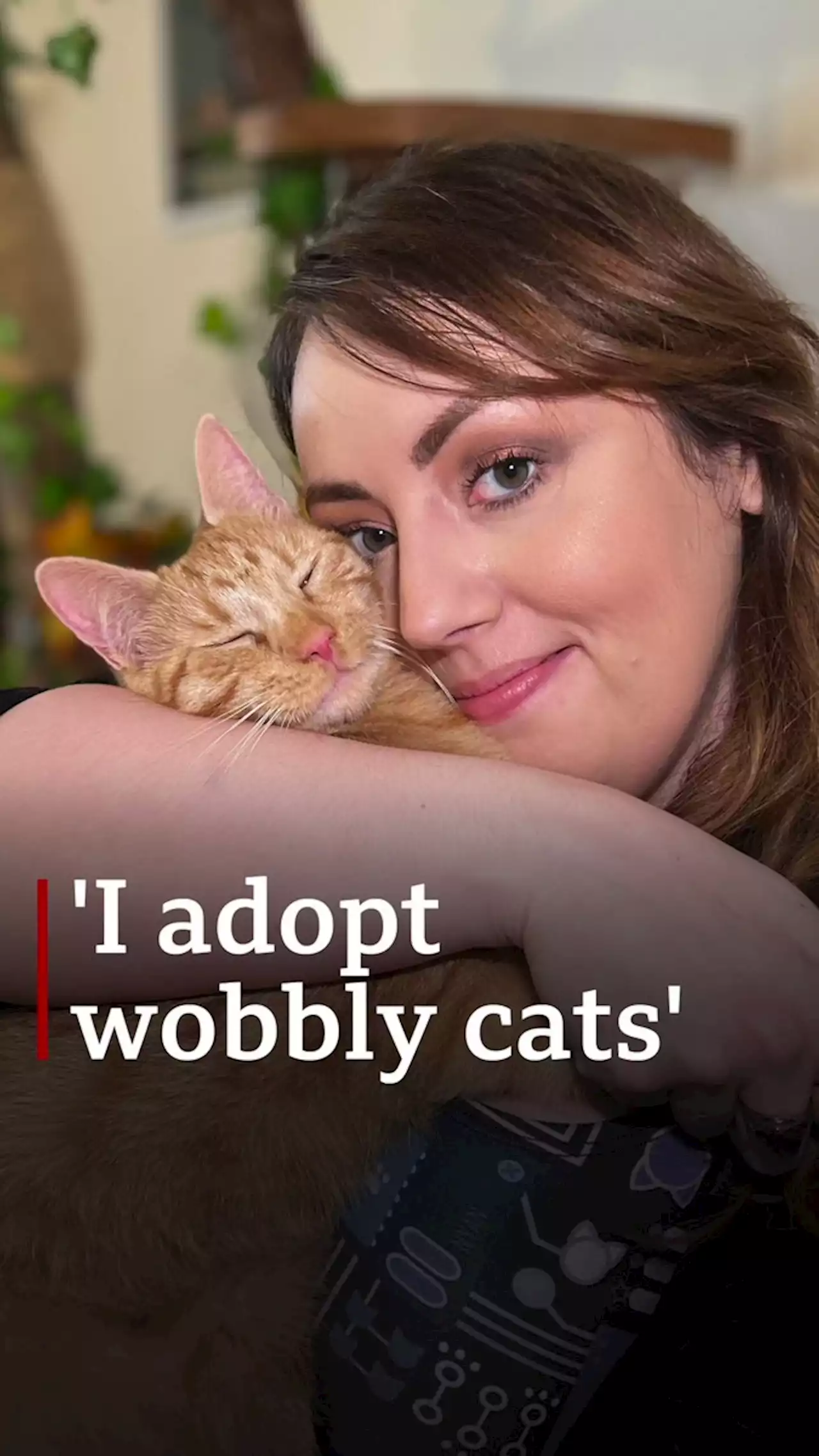 'I adopt wobbly cats'