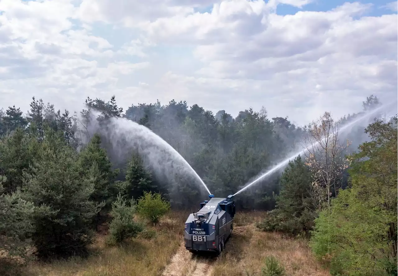 Waldbrände in Brandenburg: Feuerwehr muss Verstärkung anfordern