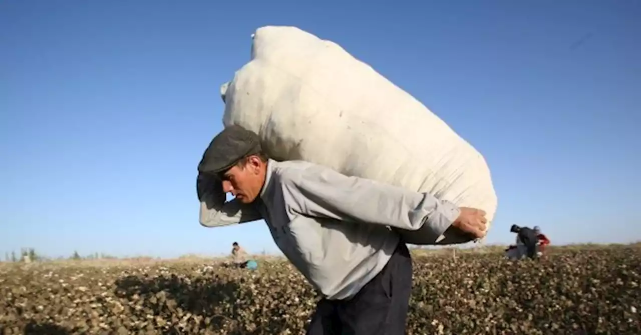 China: U.S. Anti-Slavery Law Has 'Dealt a Big Blow' to Our Businesses