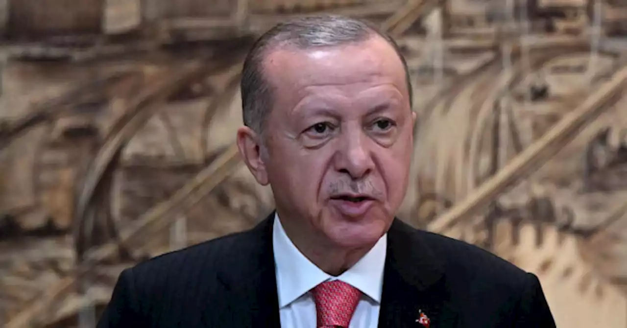 Turkey Demands Finland Help Prosecute Resident Who Insulted Erdogan