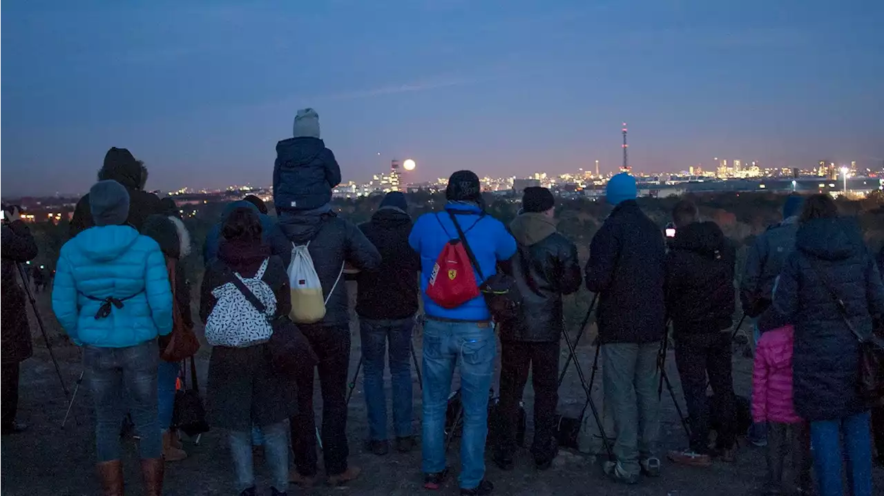 Wo man in Berlin am besten Sterne gucken kann