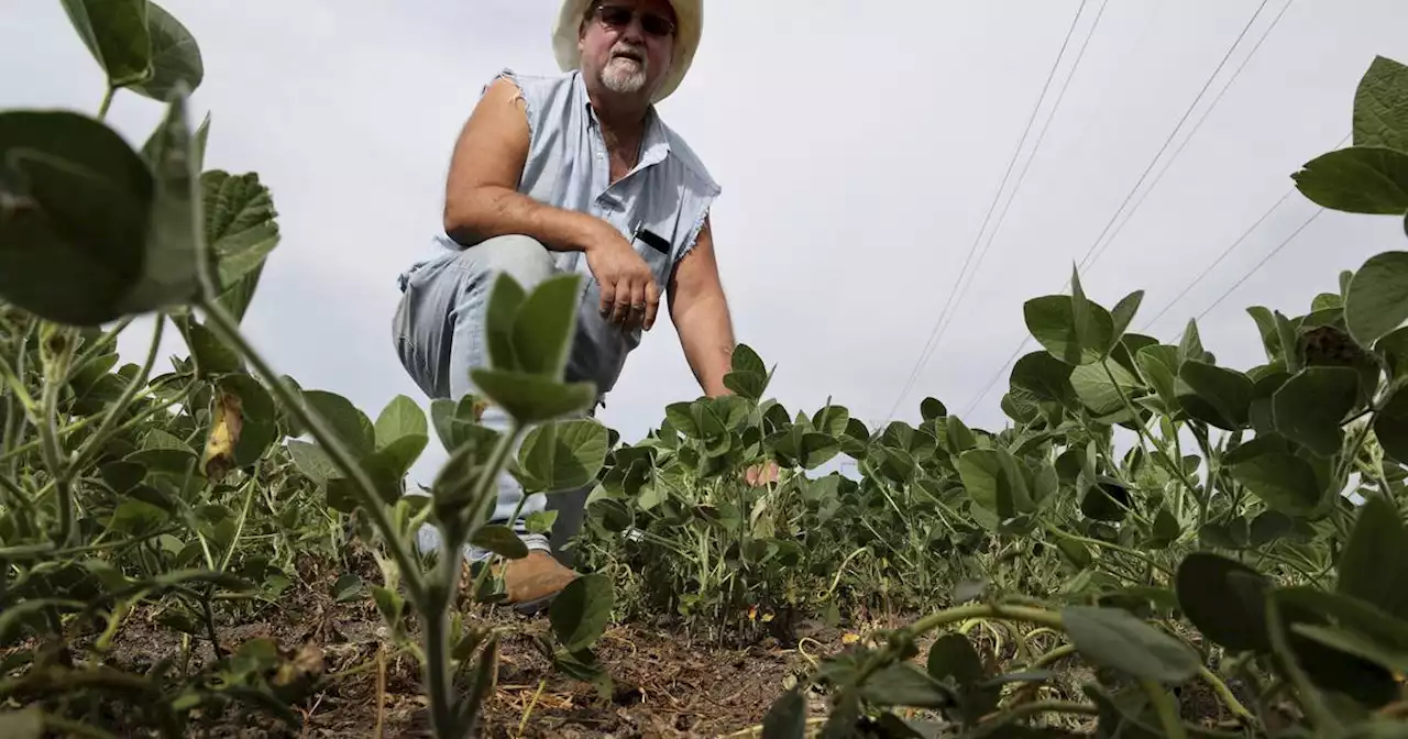 Sewage sludge contaminated with toxic forever chemicals spread on thousands of acres of Chicago-area farmland