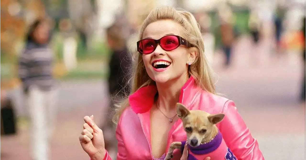 Legally Blonde 3: Reese Witherspoon Says Top Gun: Maverick Inspired Sequel