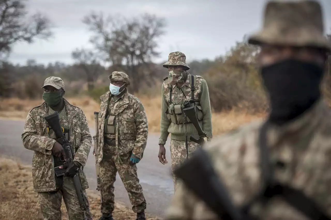 WORLD RANGER DAY: A tribute to the unsung wildlife conservation heroes dedicated to safeguarding our natural heritage