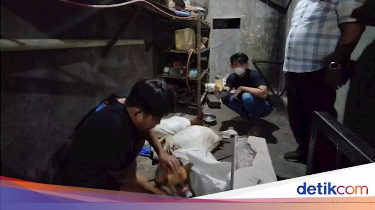 Rumah Jagal Anjing di Surabaya Digerebek