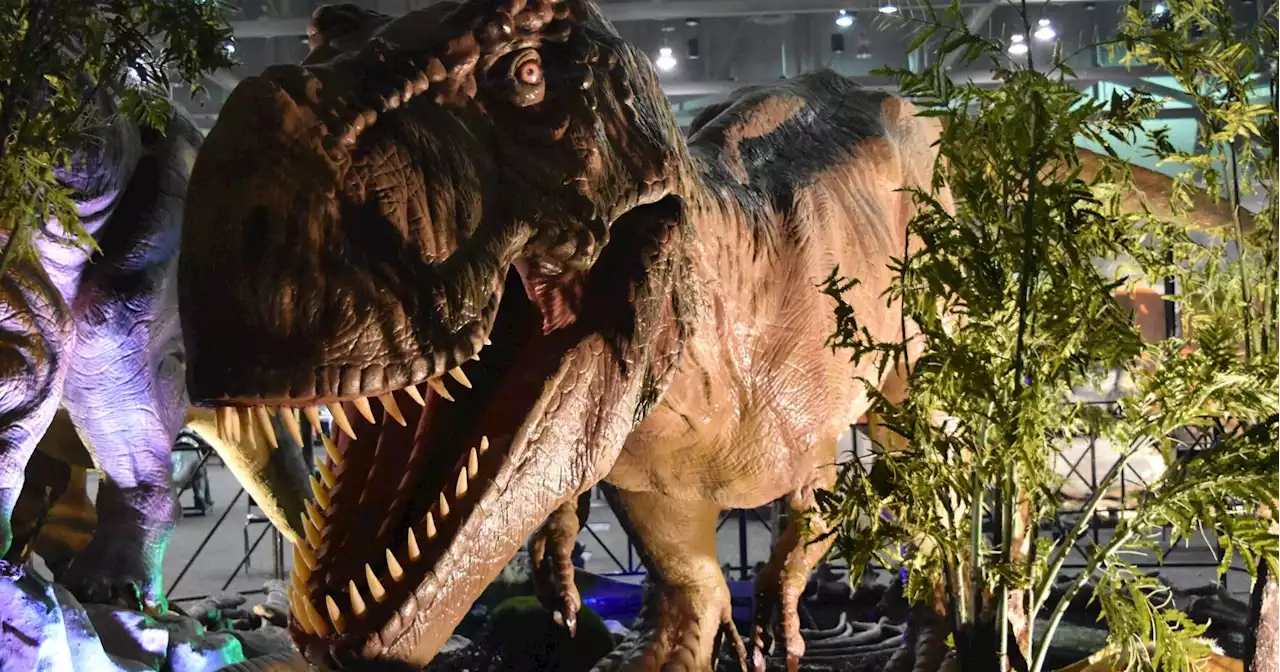 Jurassic Quest brings dinosaurs to town