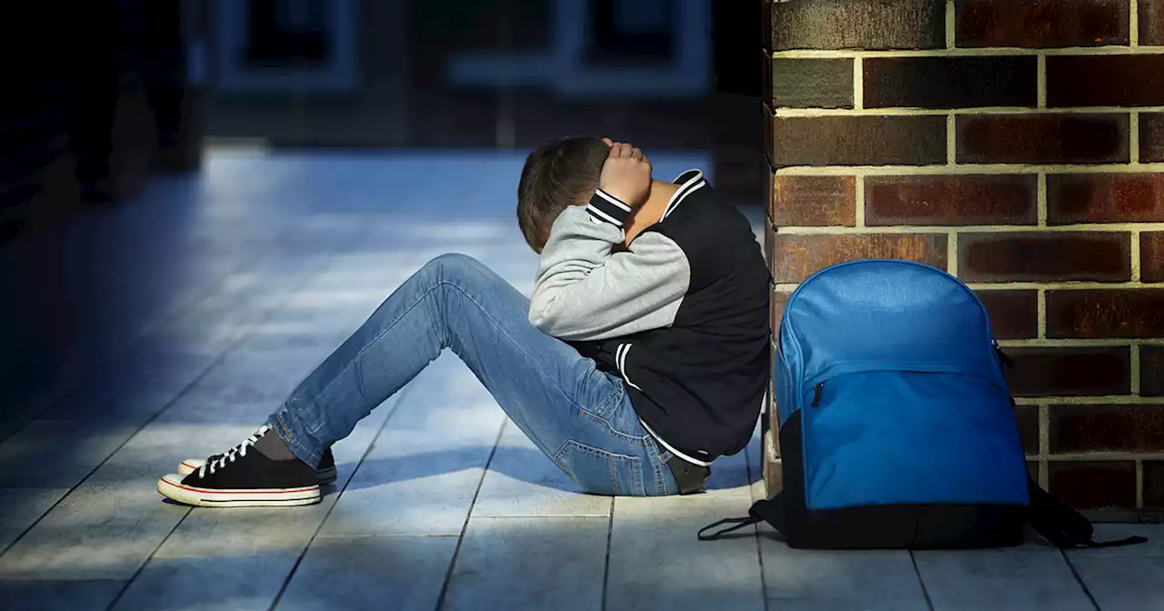 Låt skolan skapa ett hållbart samhälle