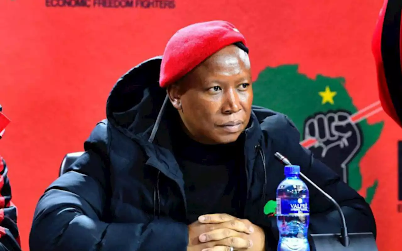 EFF leader Julius Malema expresses shock after Krugersdorp gang rape