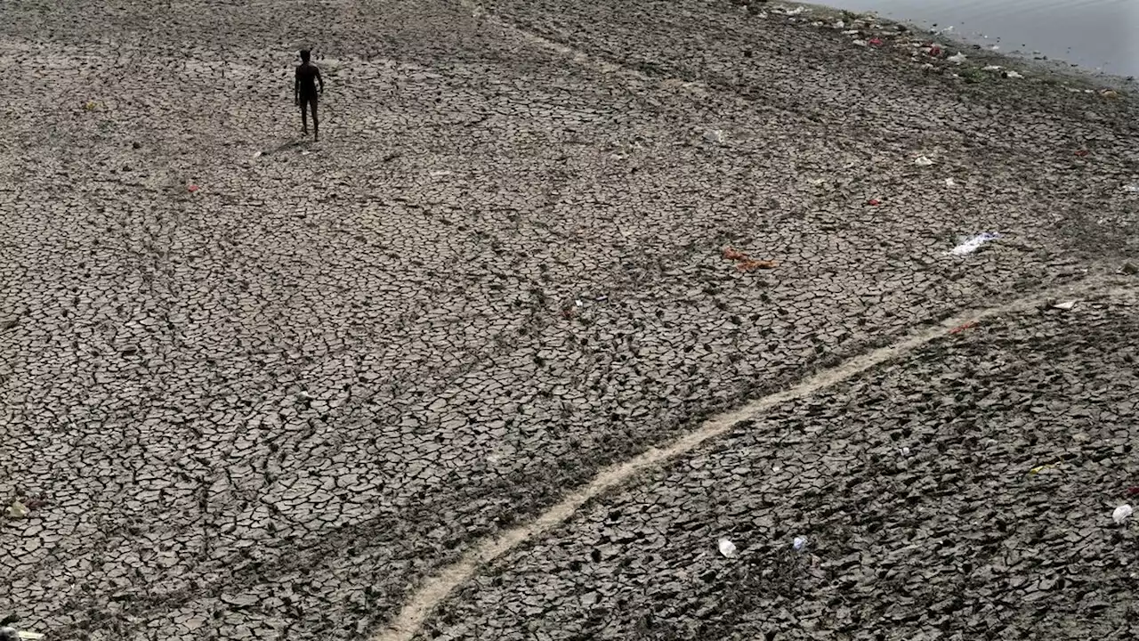 49°C na Índia: calor extremo tornará impossível trabalho ao ar livre durante metade do ano