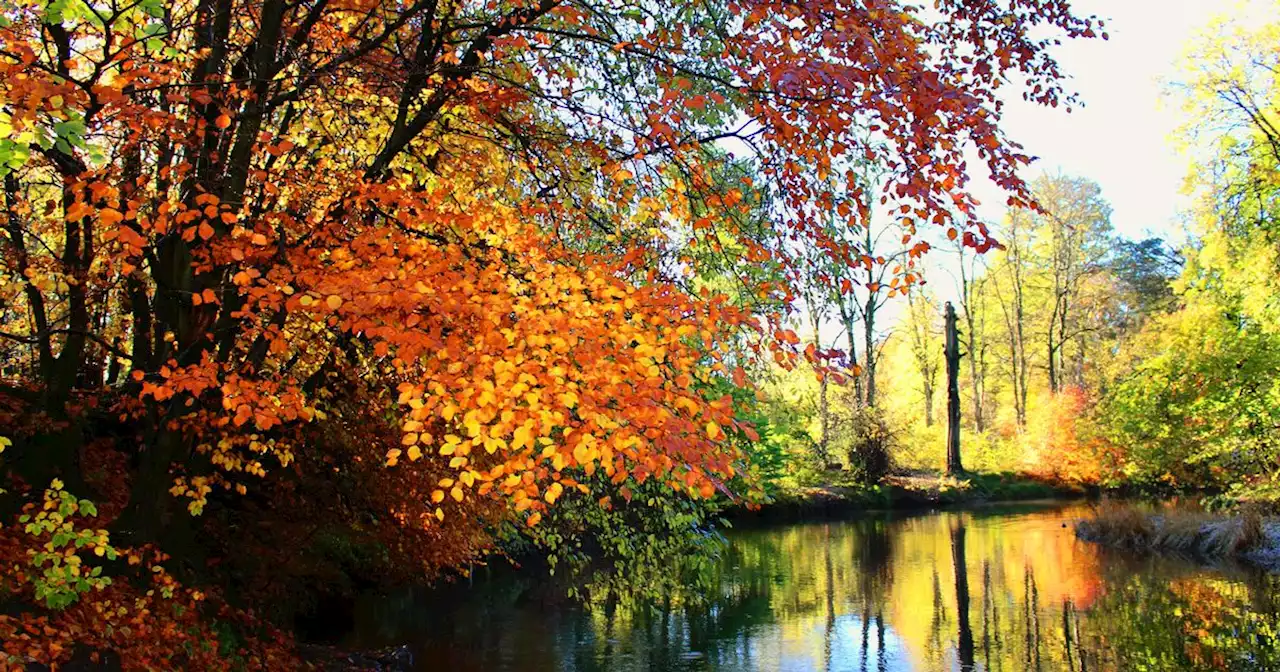 Seven parks and green spaces in Glasgow scoop prestigious Green Flag Award