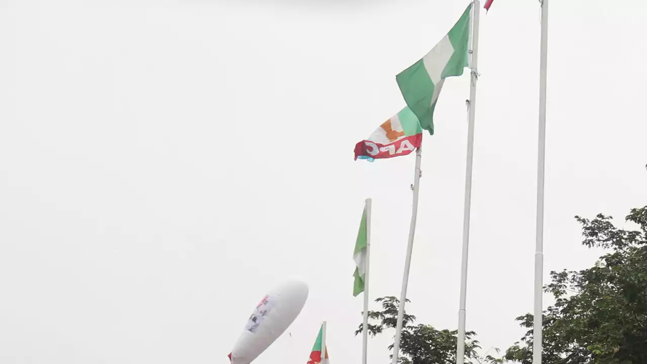 2023 poll: APC push for diaspora voting, insist Tinubu best candidate