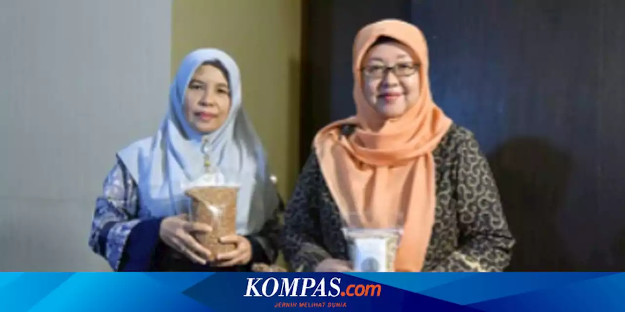 Sorgum Sorice Inovasi IPB, Bisa Atasi Masalah Gizi Ganda di Indonesia