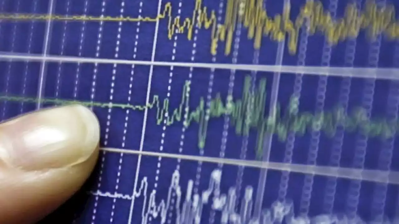 Gempa Magnitudo 5,1 Guncang Maluku Minggu Malam