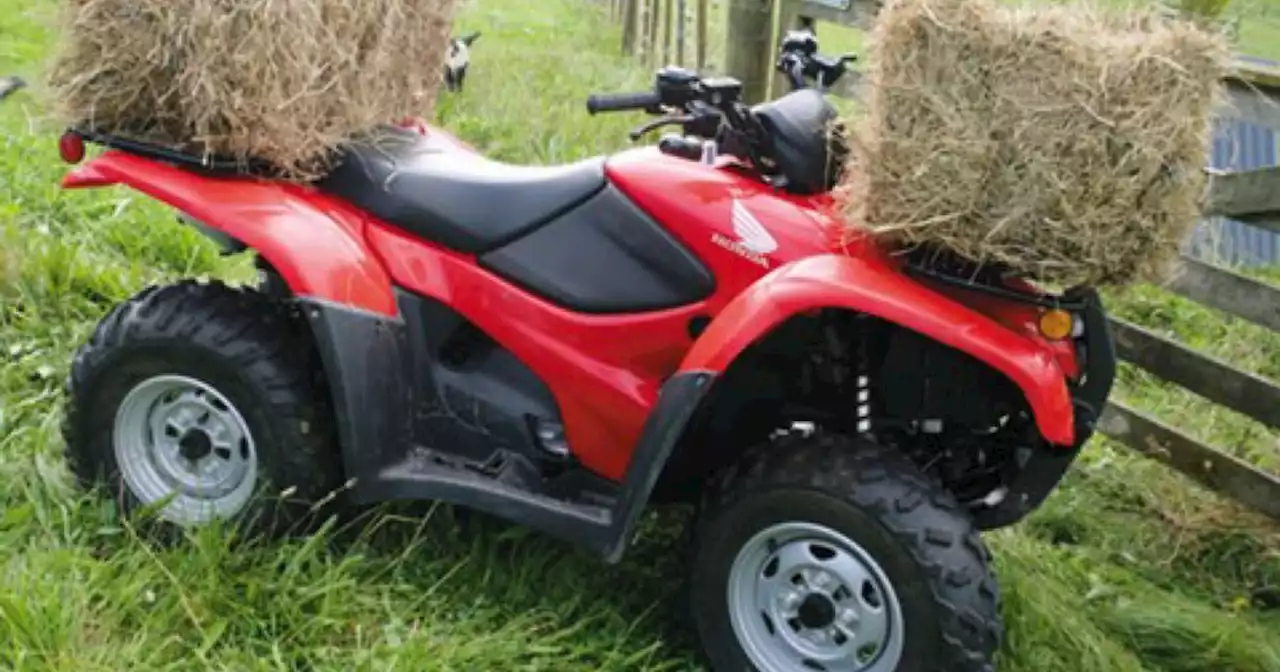 Suspected quad bike thief arrested over dog's killing