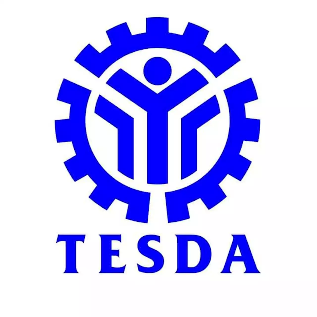 TESDA offers more than 500 diploma programs