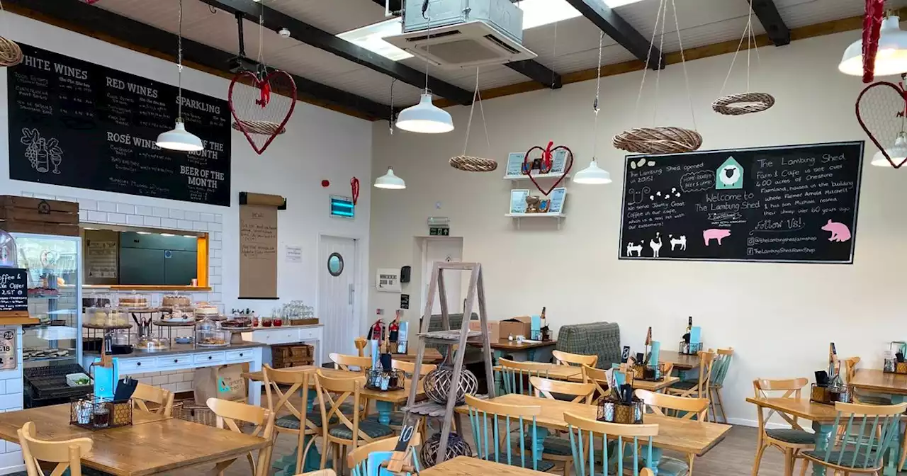 I ate at the UK's best farm shop café to see how good it really was