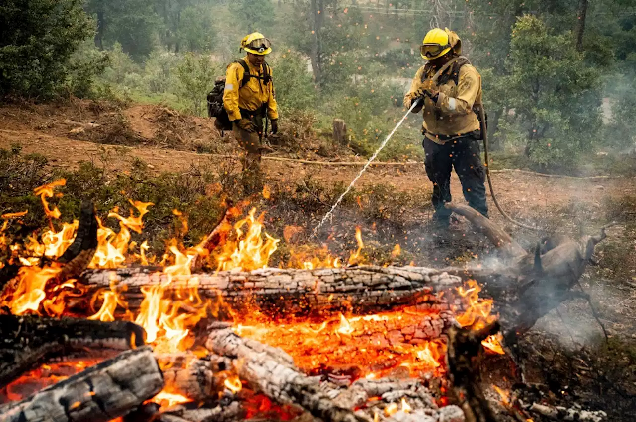 Oak Fire near Yosemite reaches 59% containment, Cal Fire says