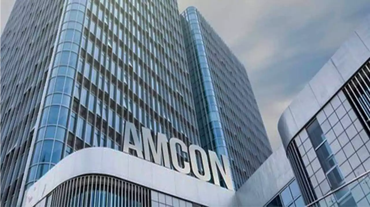 AMCON returns firm to Imo after 10-year takeover
