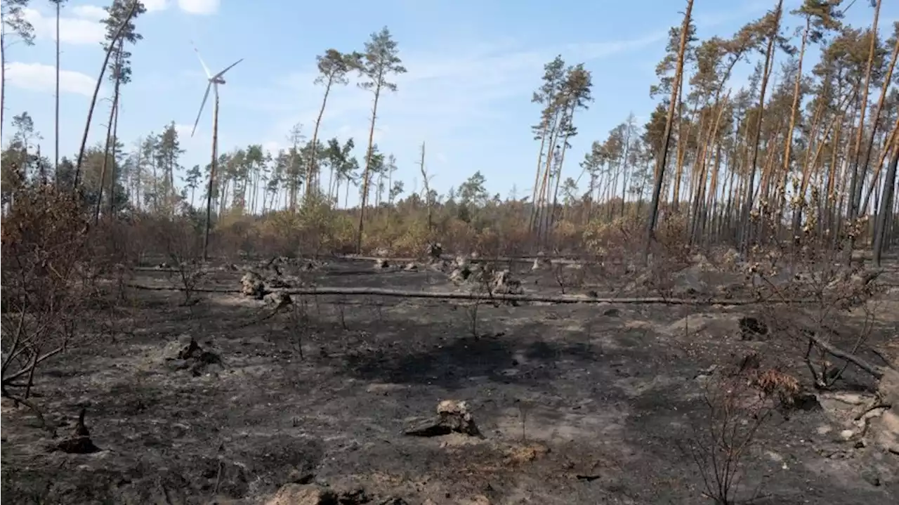 Landkreis stuft Lage im Waldbrandgebiet als stabil ein