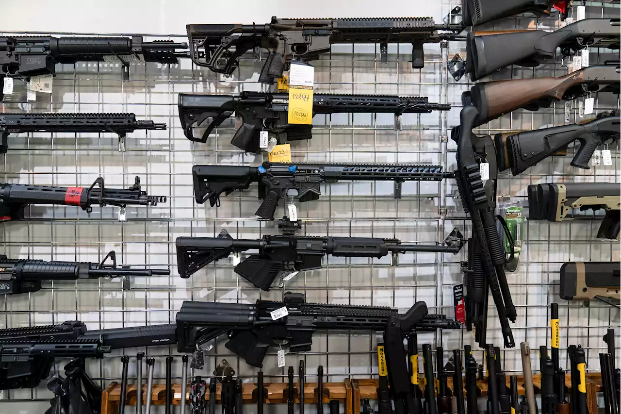 Gunmakers Made Over $1B Selling AR-Style Rifles Marketed to Young Men in Last Decade