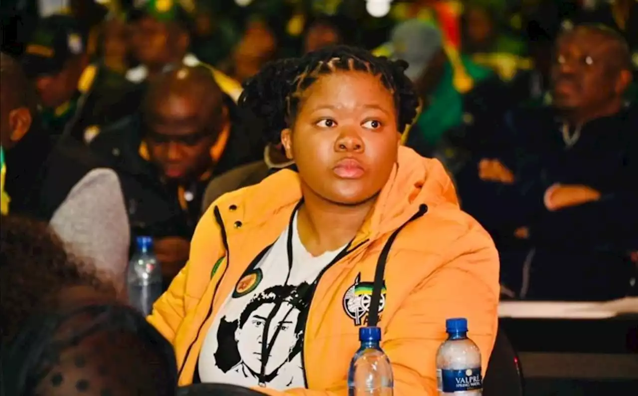 ANC Youth League loses several debates at policy conference, targets national conference | Citypress