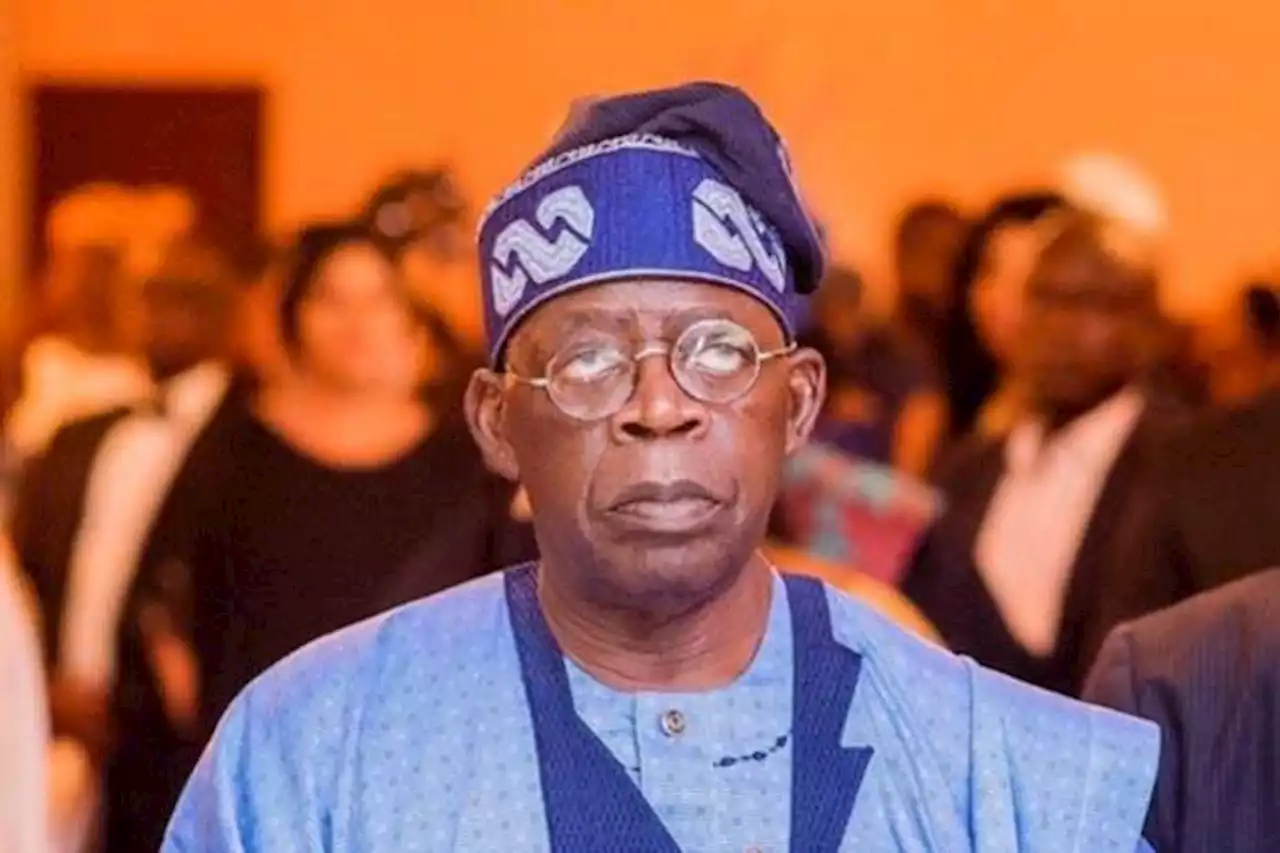 2023: APC chieftain asks Nigerians in diaspora to support Bola Tinubu