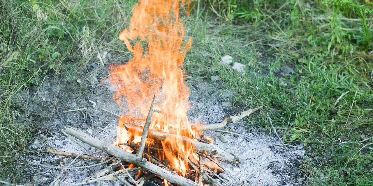 Waldbrandgefahr in Franken: Das sollten Sie beachten