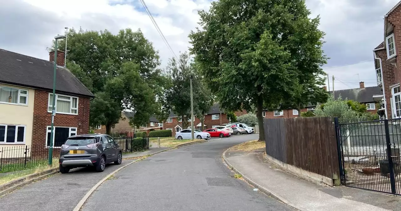 Neighbours' love for life on their 'peaceful' street