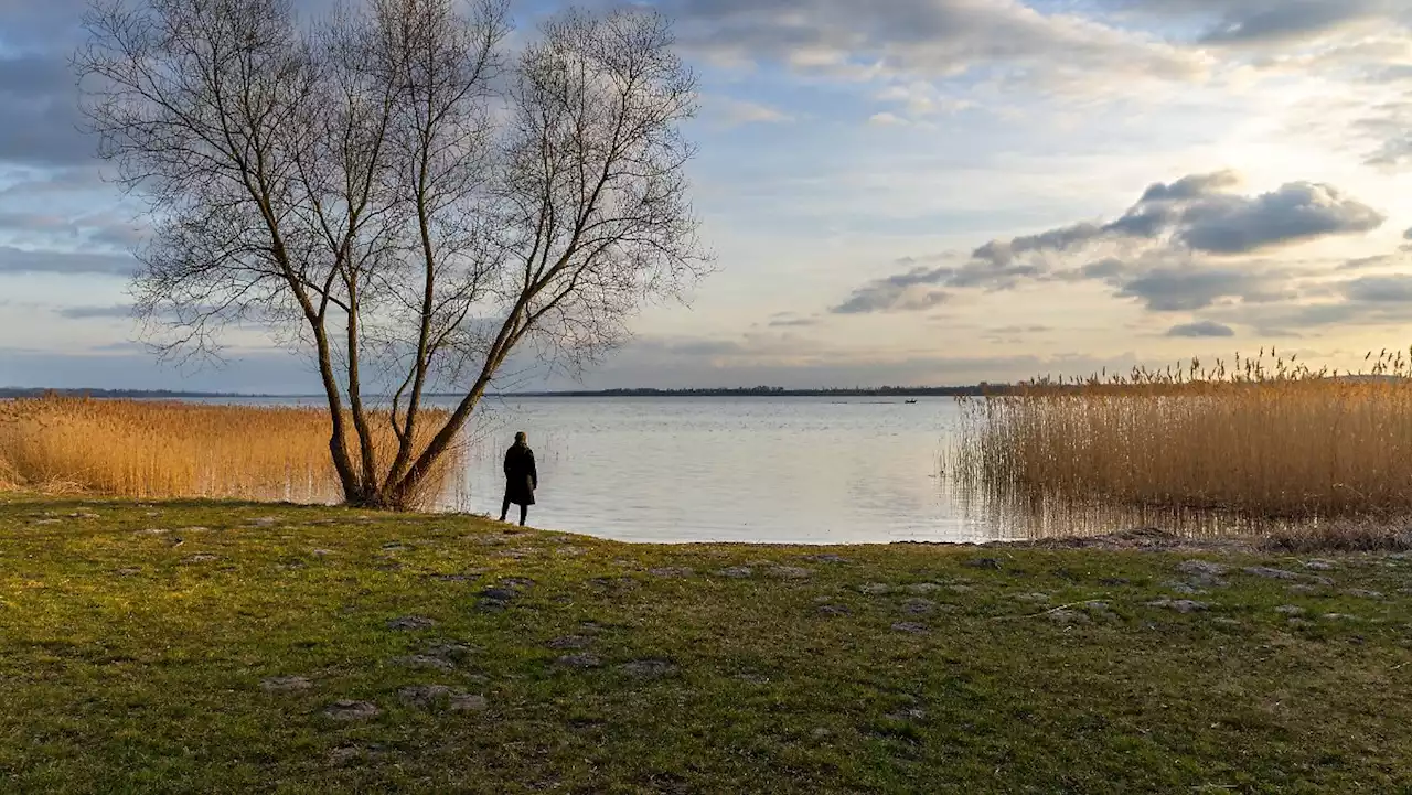 Von der heilenden Kraft der Uckermark