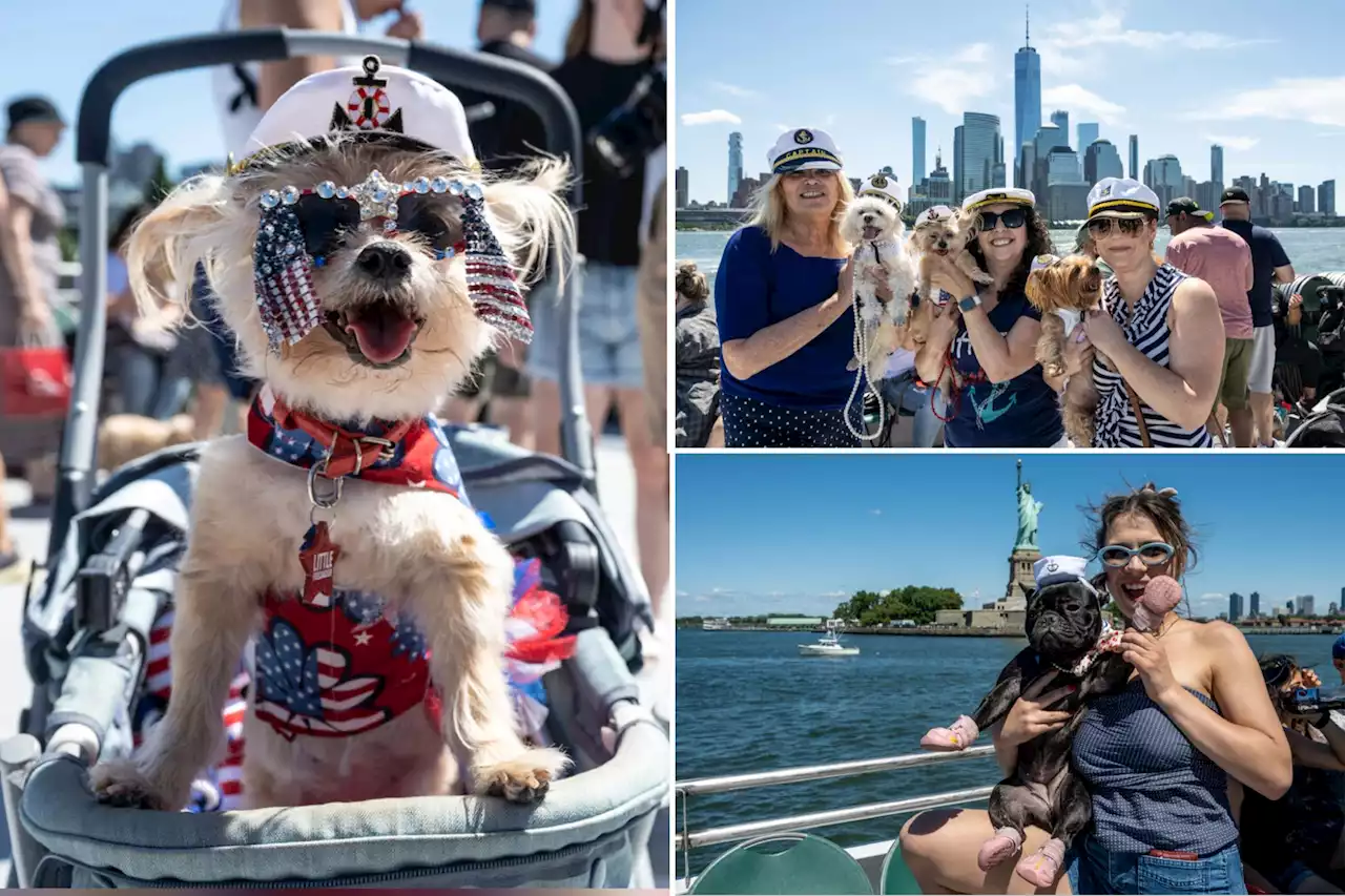 Canine cruise sends furry friends sailing around the Big Apple